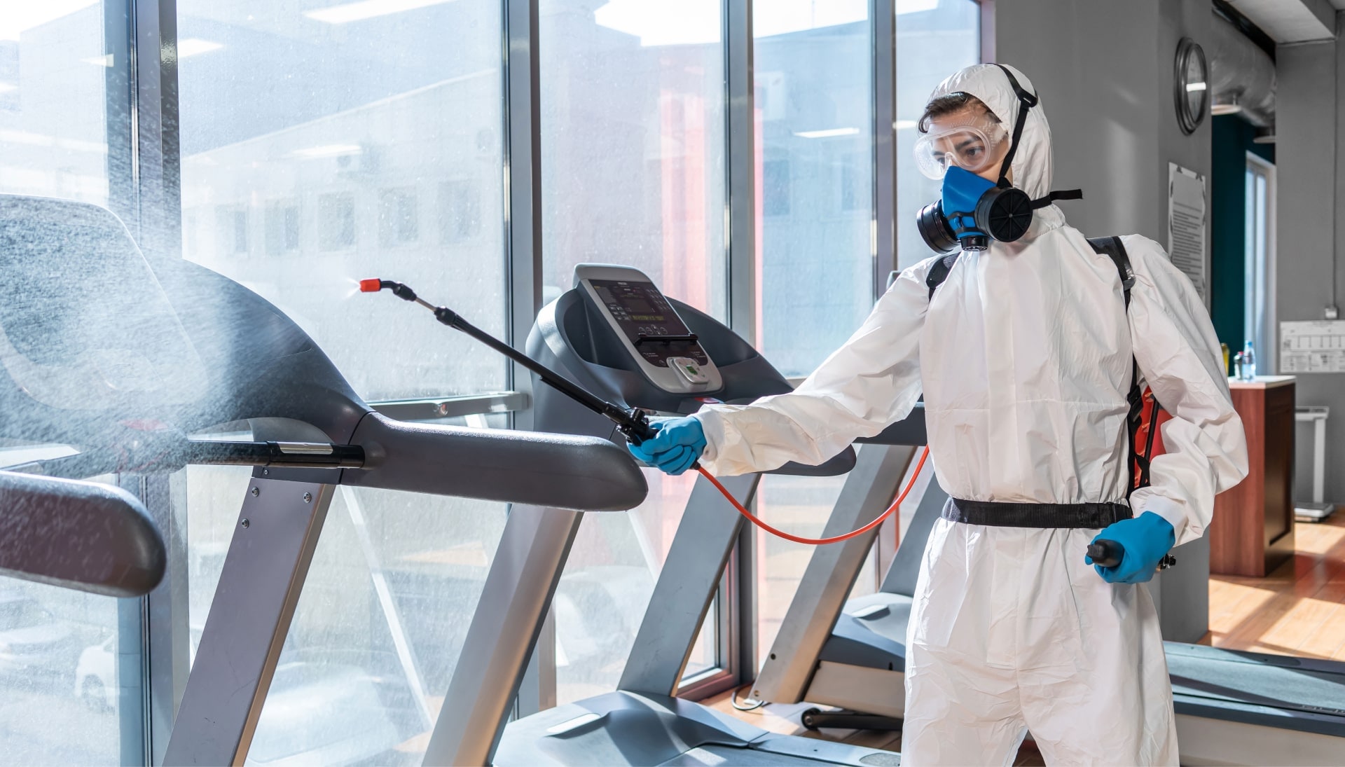 Commercial Mold Removal Services in Naperville