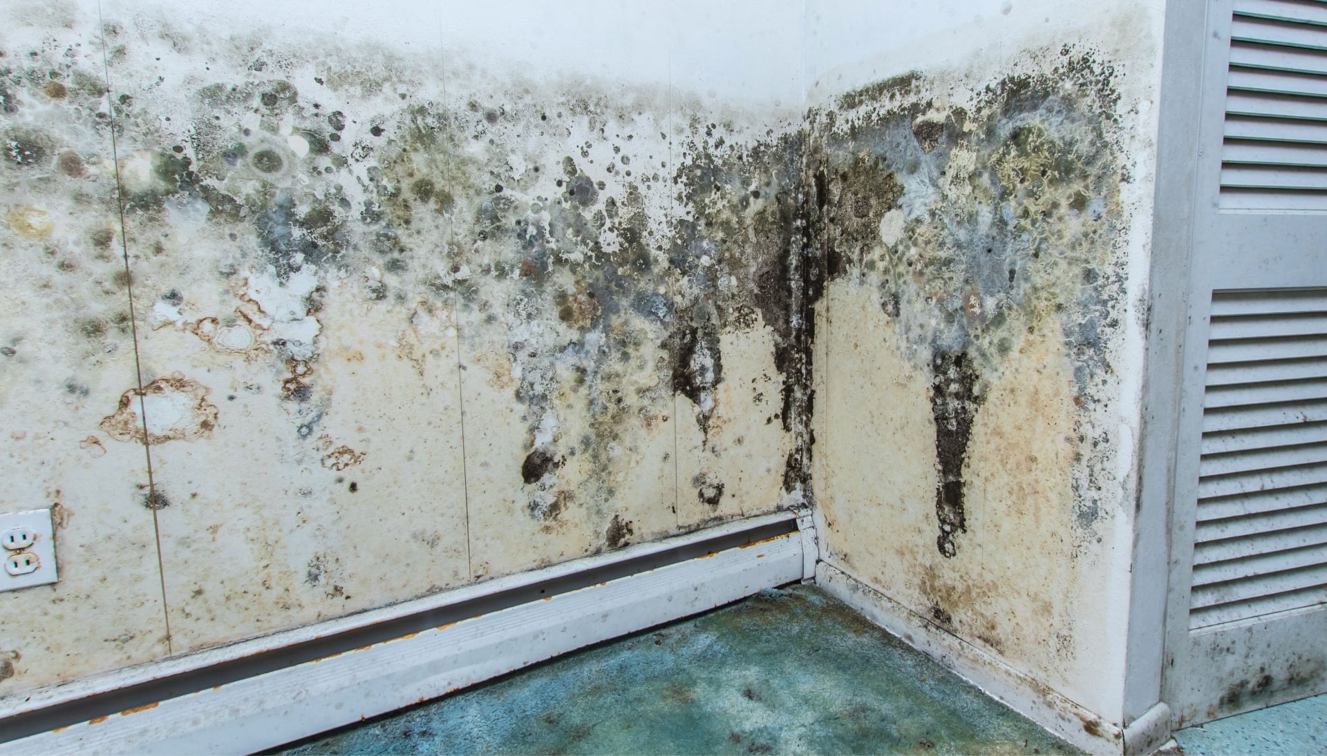 A mold remediation team using specialized techniques to remove mold damage and control odors in a Naperville property, with a focus on safety and efficiency